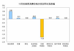 199it 互聯(lián)網(wǎng)數(shù)據(jù)資訊中心及其服務(wù)解析